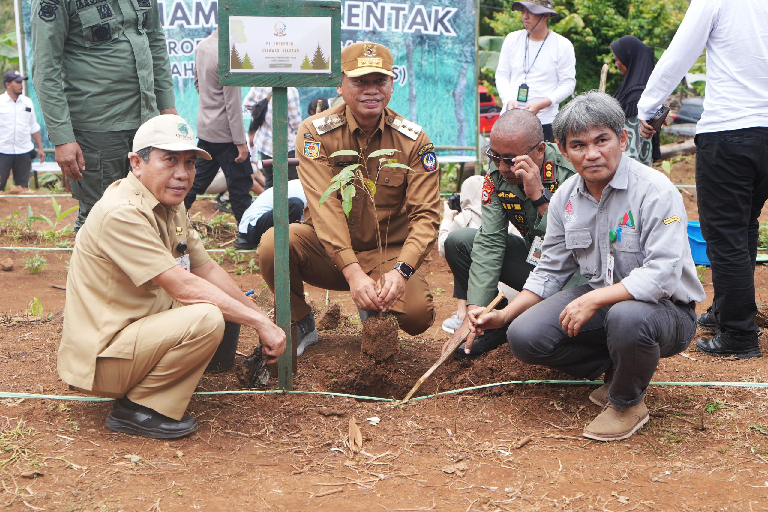 Sulsel Mulai Kembangkan Padi Gogo