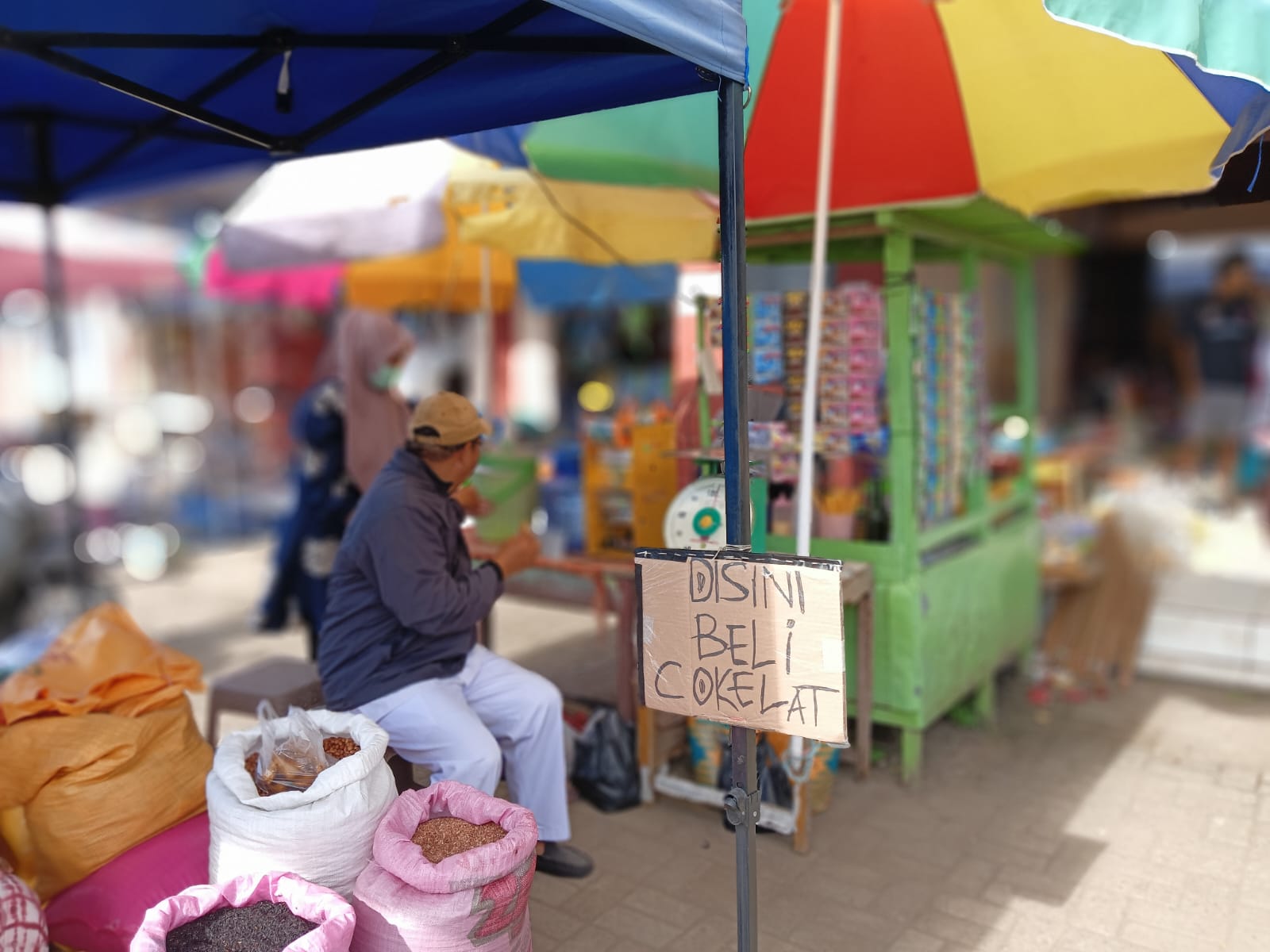 Harga Kakao Gairahkan Ekonomi Petani