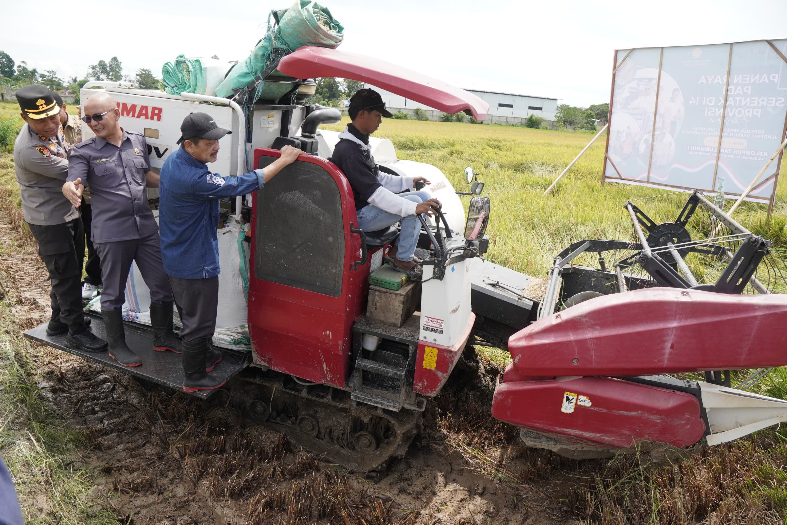 Palopo Ikut Panen Raya Padi Serentak Nasional