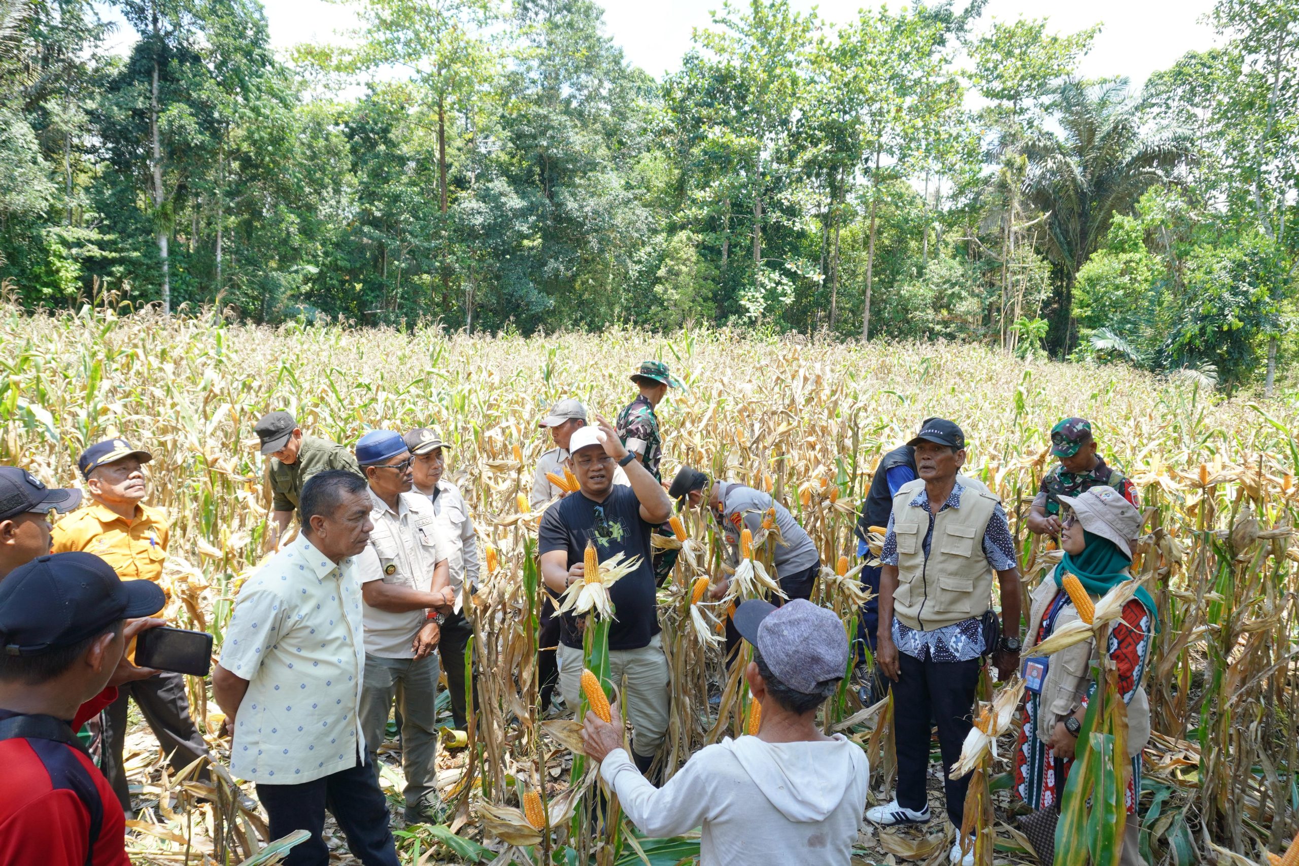 Bupati Luwu Harap Pertanian Jadi Penopang Ekonomi Rakyat