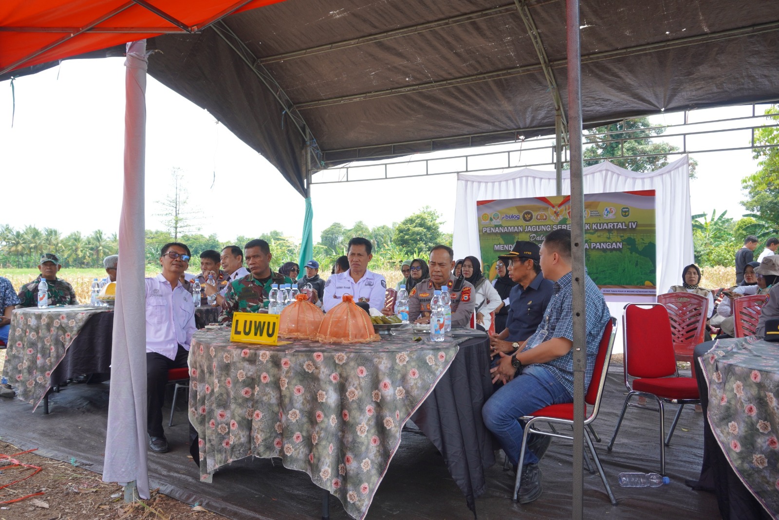 Luwu Ambil Bagian dalam Gerakan Nasional Tanam Jagung Serentak