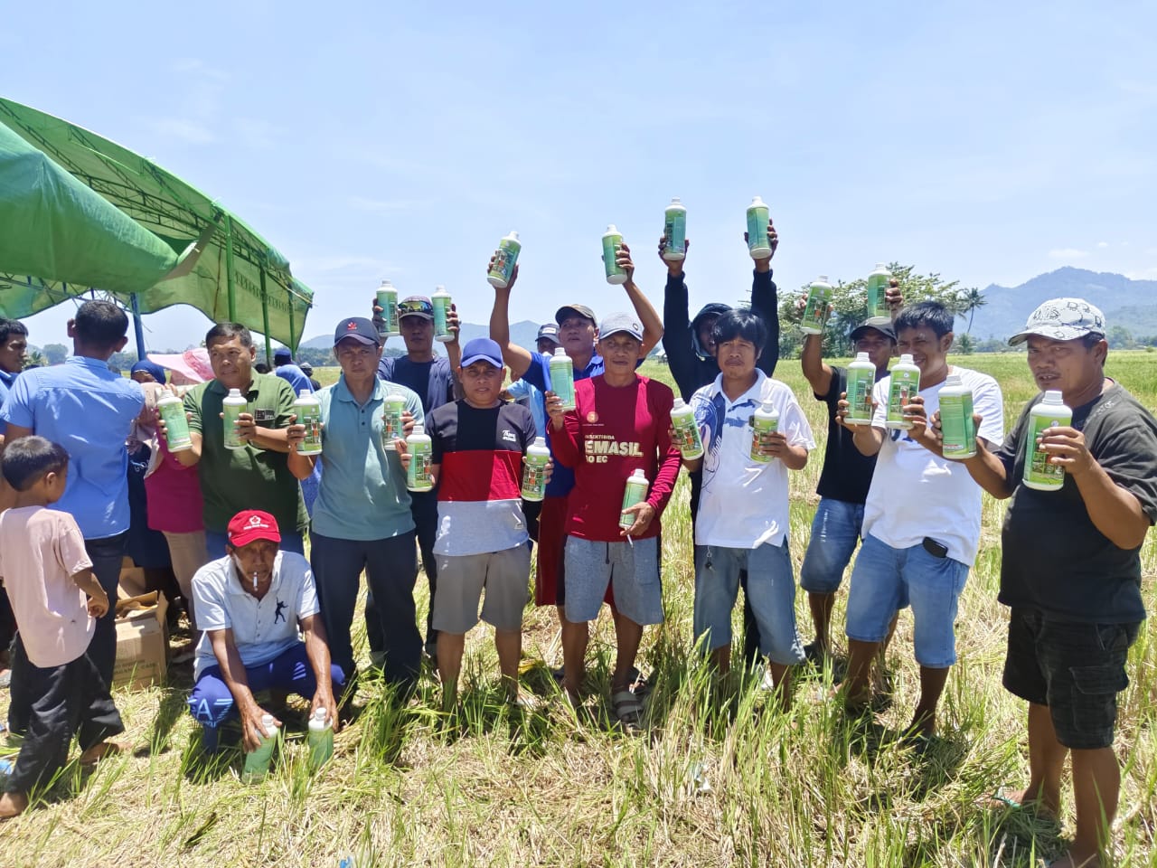 Petani Desa Sampa Mantapkan Musim Tanam Serempak, Jaga Tradisi dan Produktivitas