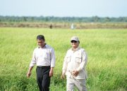 Dari Kementan ke Bapanas, Amran Sulaiman Emban Dua Tanggung Jawab Strategis