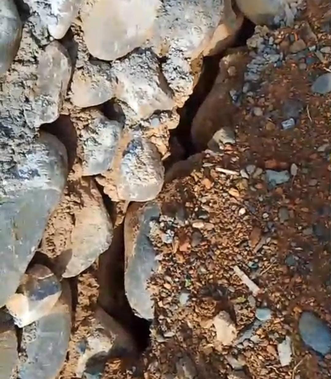 Video Viral Ungkap Dugaan Masalah Pondasi Jembatan Posi di Kecamatan Bua