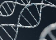DNA Dinosaurus Tak Akan Pernah Ditemukan, Ini Alasannya