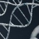 DNA Dinosaurus Tak Akan Pernah Ditemukan, Ini Alasannya