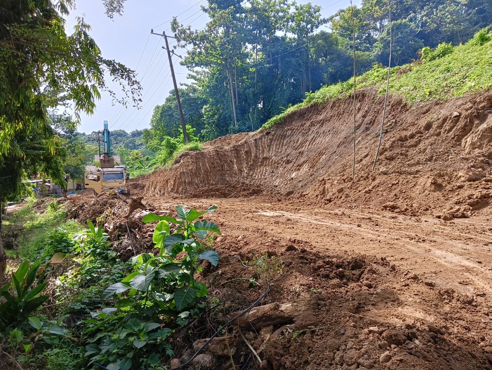 DLH Luwu Tegaskan Aktivitas di Gunung Sampoddo Belum Kantongi Izin Tambang