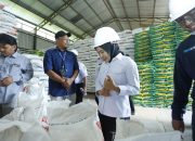 Wali Kota Palopo Pastikan Stok Pangan Aman Jelang Nataru