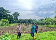 Lapas Palopo Panen Terong dan Kacang Panjang, Jose Quelo: Ini Bekal untuk Warga Binaan