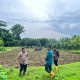 Lapas Palopo Panen Terong dan Kacang Panjang, Jose Quelo: Ini Bekal untuk Warga Binaan
