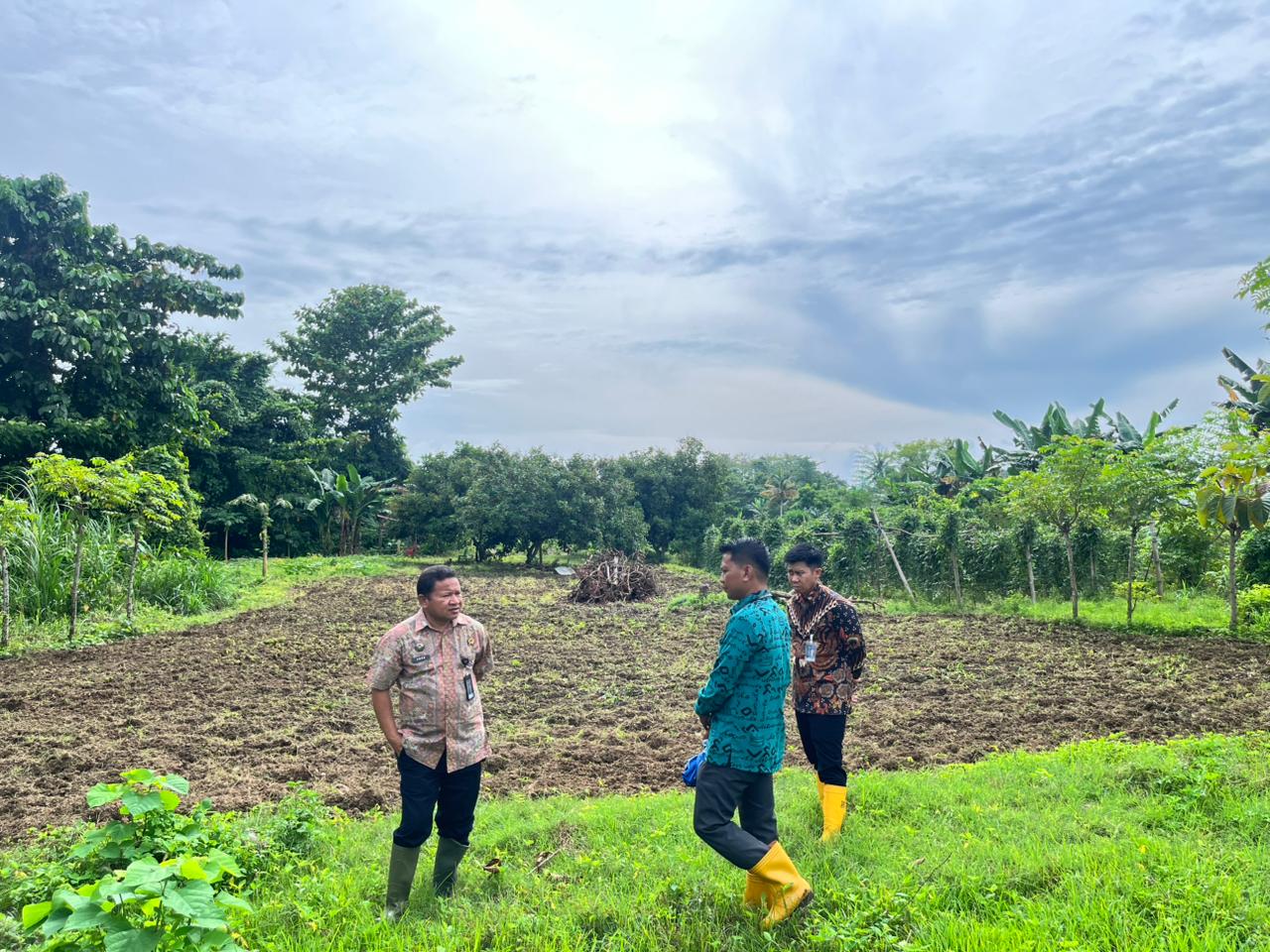 Lapas Palopo Panen Terong dan Kacang Panjang, Jose Quelo: Ini Bekal untuk Warga Binaan