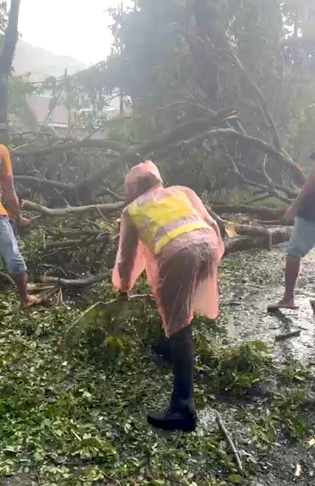 Pohon Tumbang Picu Macet, Polwan Luwu Gercep Normalisasi Arus di Trans Sulawesi
