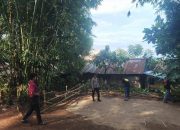 Gerak Cepat, Polres Palopo Bongkar Dua Arena Sabung Ayam dalam Sehari