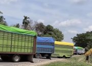 Imbas Blokade Trans Sulawesi, Program Makan Bergizi Gratis di Luwu Terhenti