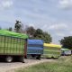 Imbas Blokade Trans Sulawesi, Program Makan Bergizi Gratis di Luwu Terhenti