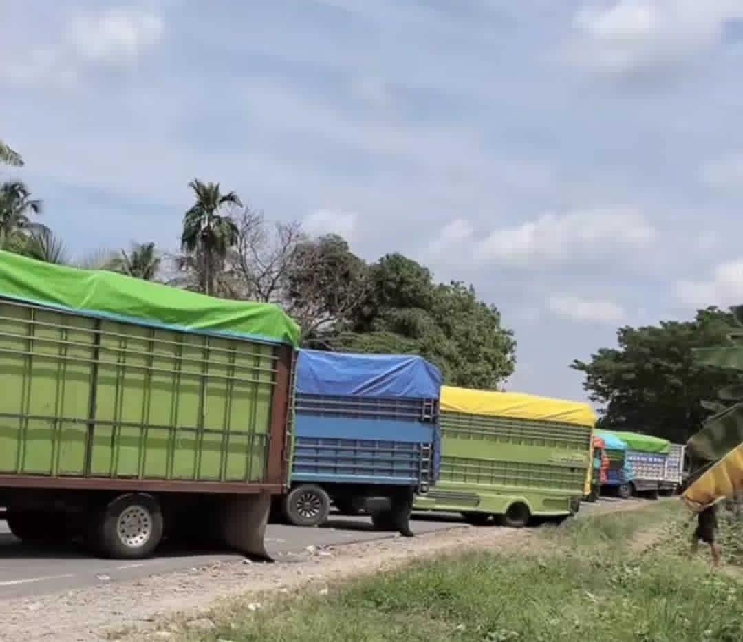 Imbas Blokade Trans Sulawesi, Program Makan Bergizi Gratis di Luwu Terhenti