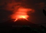 Waspada! Gunung Ile Lewotolok Muntahkan Lava Pijar Sejauh 100 Meter Waspada! Gunung Ile Lewotolok Muntahkan Lava Pijar Sejauh 100 Meter