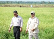 Swasembada Terwujud, Indonesia Banjir Stok Beras Hingga Lebaran 2026