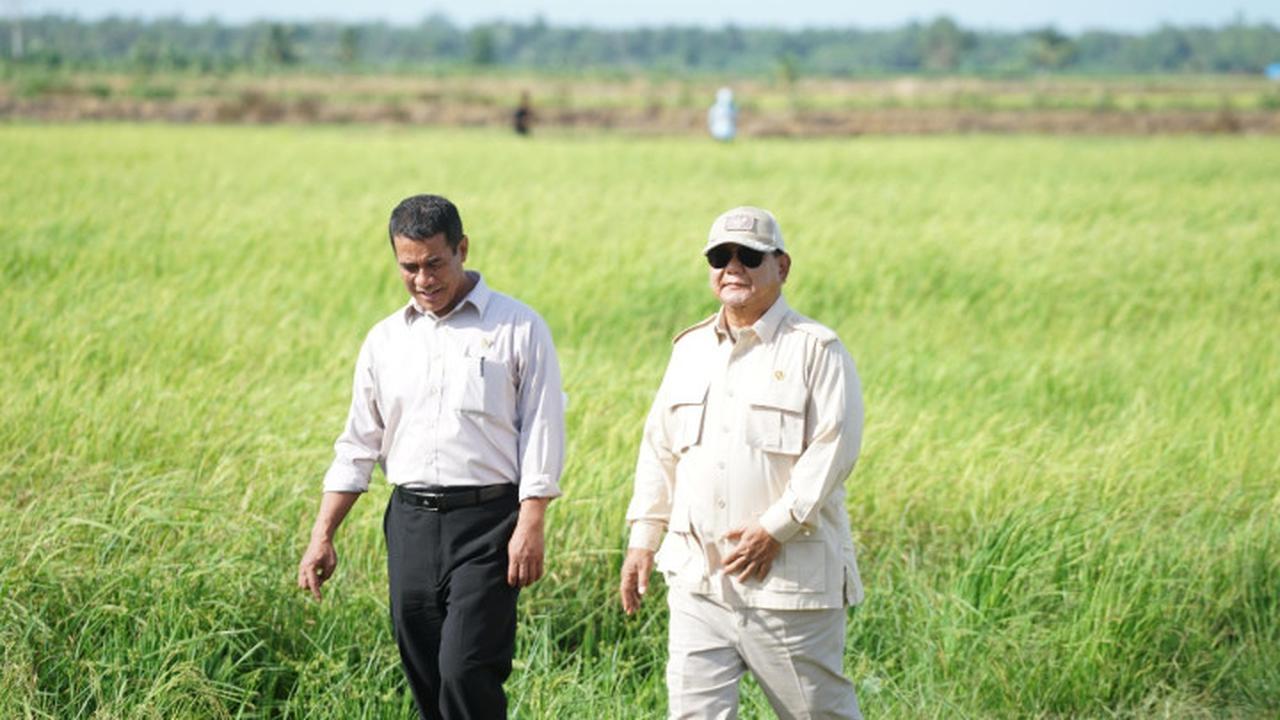 Swasembada Terwujud, Indonesia Banjir Stok Beras Hingga Lebaran 2026