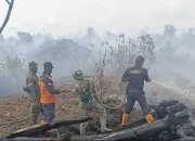 Bupati Tarmizi Tetapkan Aceh Barat Darurat 14 Hari