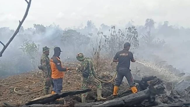 Bupati Tarmizi Tetapkan Aceh Barat Darurat 14 Hari