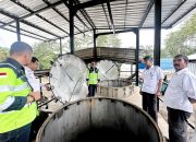 Masmindo Perkuat Ekosistem Nilam Luwu, Dari Budidaya Hingga Pengolahan Pascaproduksi
