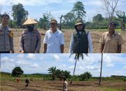 Polsek Lamasi Turun Kebun, Pastikan Program Jagung Binaan Polri Berjalan Lancar Polsek Lamasi Turun Kebun, Pastikan Program Jagung Binaan Polri Berjalan Lancar