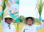 Pertumbuhan Ekonomi Luwu 2025 Tembus 7,43 Persen, Tertinggi dalam Tujuh Tahun