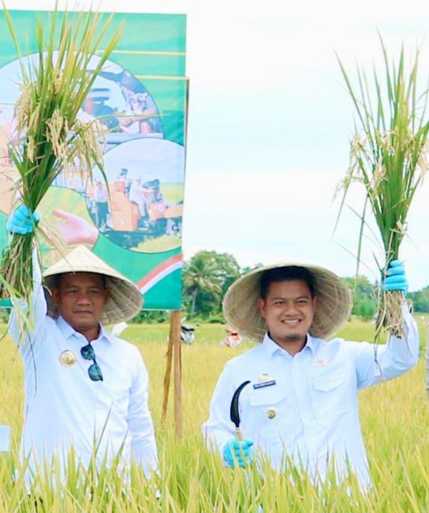 Pertumbuhan Ekonomi Luwu 2025 Tembus 7,43 Persen, Tertinggi dalam Tujuh Tahun