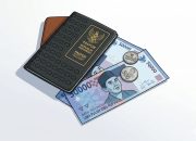 Menilik Sisi Gelap CBDC Ancaman Privasi dan Stabilitas Perbankan di Era Uang Digital Menilik Sisi Gelap CBDC Ancaman Privasi dan Stabilitas Perbankan di Era Uang Digital