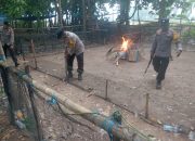 Bergerak Cepat, Polres Luwu Bongkar Dua Arena Sabung Ayam di Lamasi dan Bupon