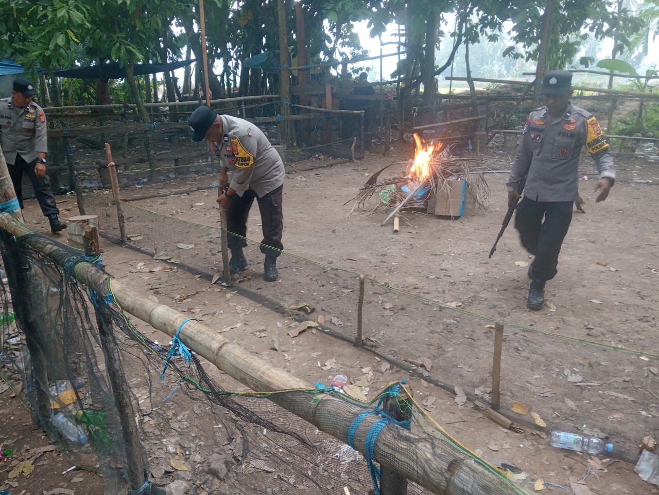 Bergerak Cepat, Polres Luwu Bongkar Dua Arena Sabung Ayam di Lamasi dan Bupon