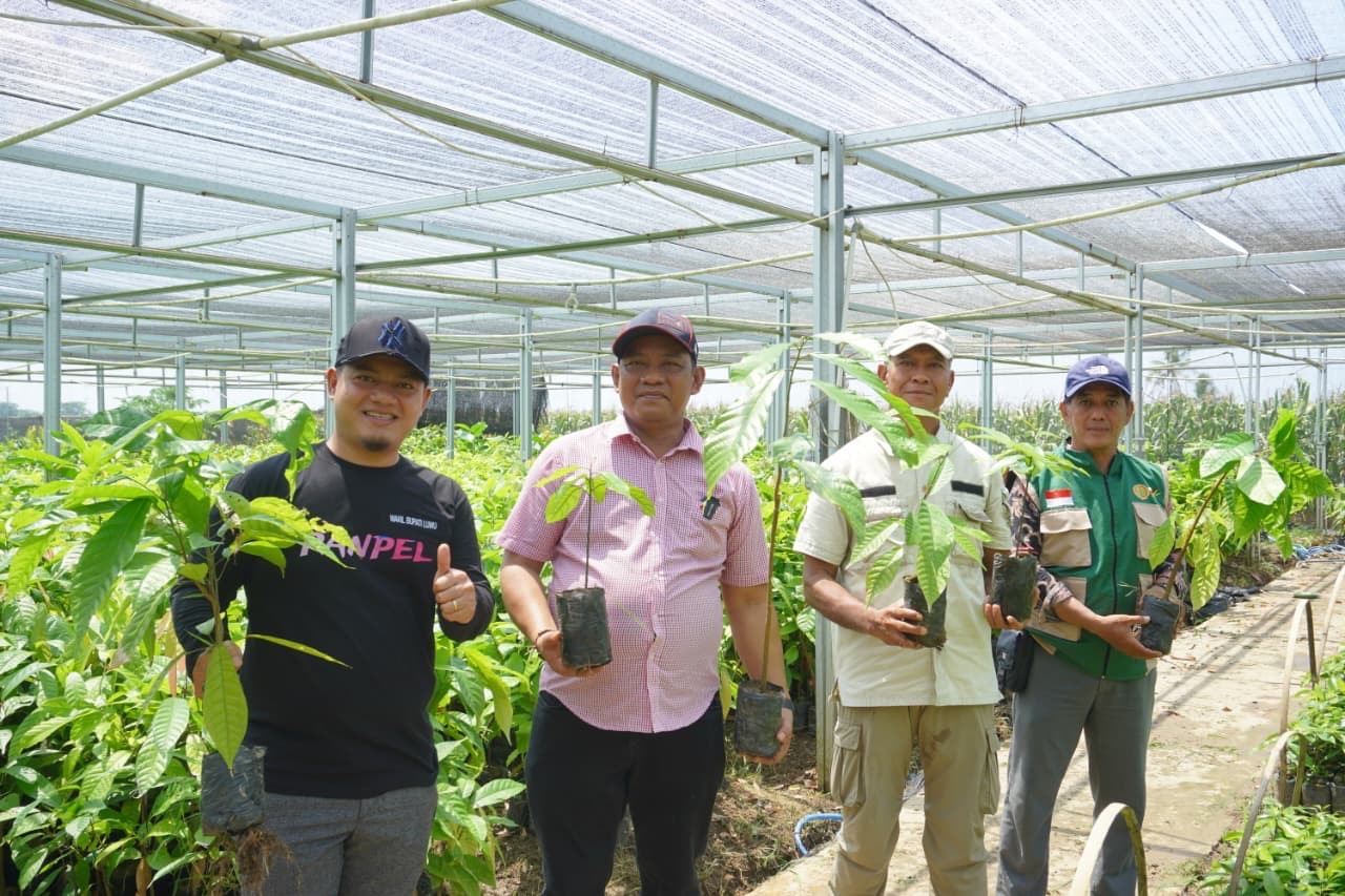 Tinjau Pembibitan di Desa Malela, Bupati Luwu Dorong Peningkatan Produktivitas Kakao dan Pala