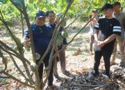 Tingkatkan Kesejahteraan Petani, Bupati Luwu Proyeksikan Kenaikan Pendapatan Signifikan pada 2028