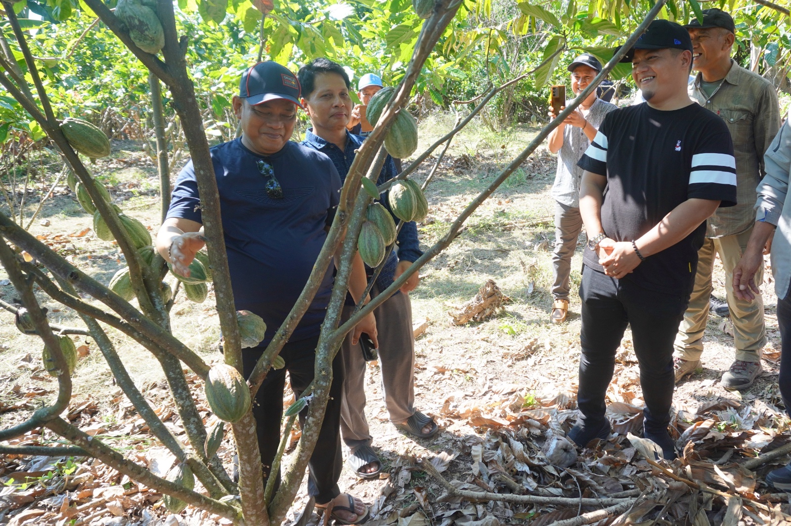 Tingkatkan Kesejahteraan Petani, Bupati Luwu Proyeksikan Kenaikan Pendapatan Signifikan pada 2028