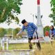 Maknai Kebangkitan Nasional, Pemkot Palopo Gelar Tabur Bunga di TMP