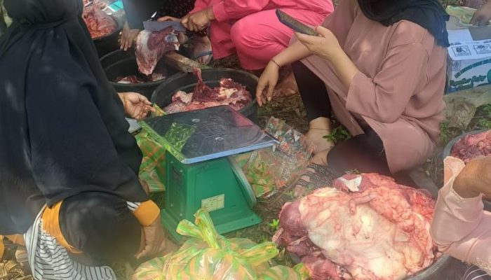 Tak Hanya Bangun Jalan 1,7 Km, PT BMS Rutin Salurkan Sapi Kurban untuk Warga Bua