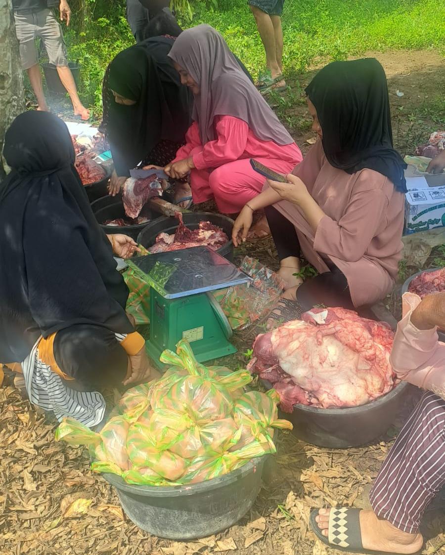 Tak Hanya Bangun Jalan 1,7 Km, PT BMS Rutin Salurkan Sapi Kurban untuk Warga Bua