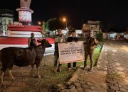 Berdayakan Peternak Lokal, PT BMS Beli 14 Sapi Kurban untuk Masyarakat Luwu