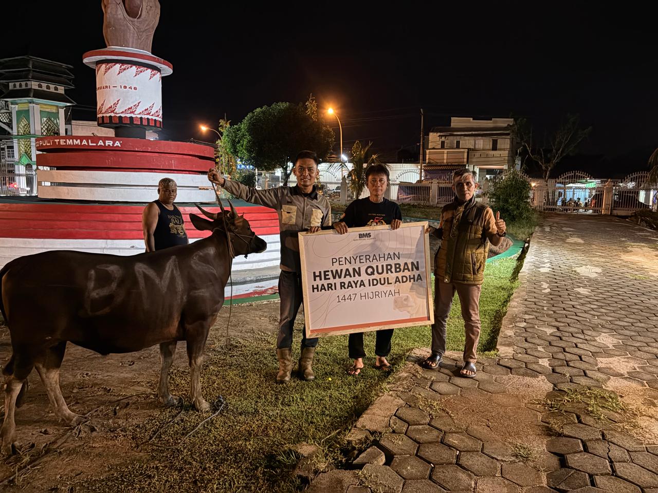 Berdayakan Peternak Lokal, PT BMS Beli 14 Sapi Kurban untuk Masyarakat Luwu