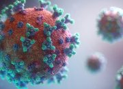 Diam-diam Mematikan! Hantavirus Ancam RI, Mungkinkah Picu Wabah Mirip Corona?