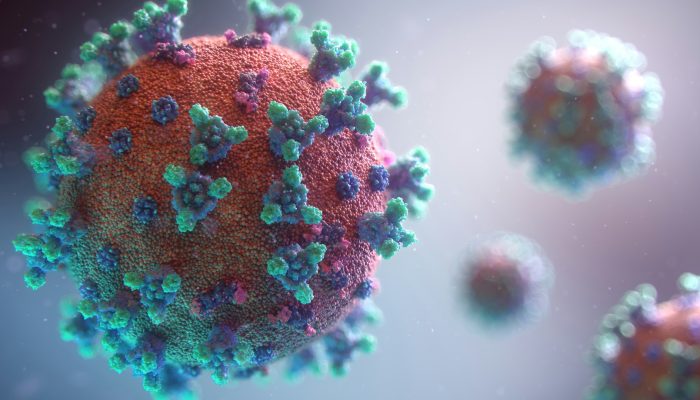 Diam-diam Mematikan! Hantavirus Ancam RI, Mungkinkah Picu Wabah Mirip Corona?
