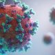 Diam-diam Mematikan! Hantavirus Ancam RI, Mungkinkah Picu Wabah Mirip Corona?