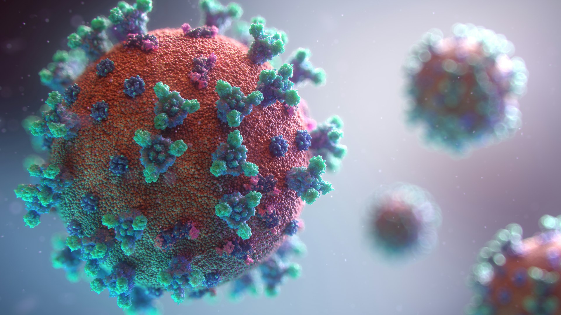 Diam-diam Mematikan! Hantavirus Ancam RI, Mungkinkah Picu Wabah Mirip Corona?