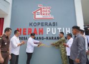 11 Unit KDKMP di Luwu Siap Beroperasi, Targetkan Pemberdayaan UMKM Pedesaan 11 Unit KDKMP di Luwu Siap Beroperasi, Targetkan Pemberdayaan UMKM Pedesaan