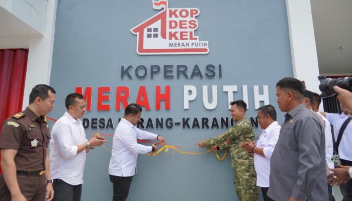 11 Unit KDKMP di Luwu Siap Beroperasi, Targetkan Pemberdayaan UMKM Pedesaan