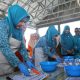 Praktik Masak Ikan di BBI Bajo, Langkah TP-PKK Luwu Tingkatkan Gizi Keluarga