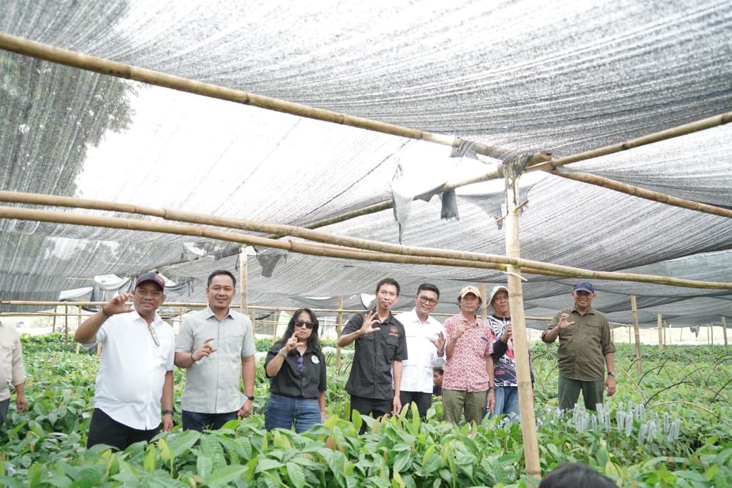 Dukung Program Presiden, Patahudding Pastikan Bantuan Bibit Kakao Tepat Sasaran