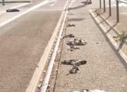 Suhu Ekstrem Hancurkan Fasilitas Publik di Jerman, Aspal Jalan Tol Terkelupas