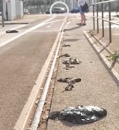 Suhu Ekstrem Hancurkan Fasilitas Publik di Jerman, Aspal Jalan Tol Terkelupas